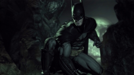 batman arkham asylum video game  ign